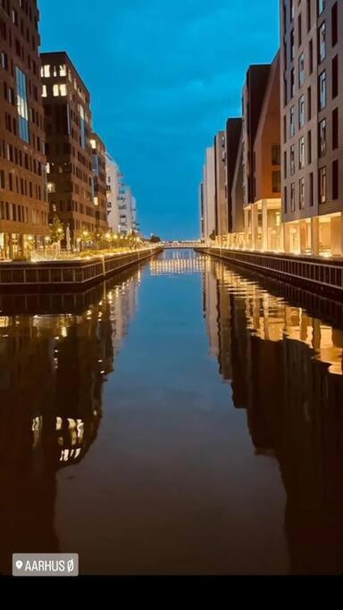 Aarhus 115公寓 外观 照片